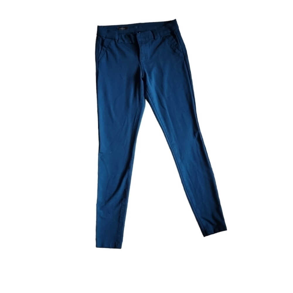 Dress pants